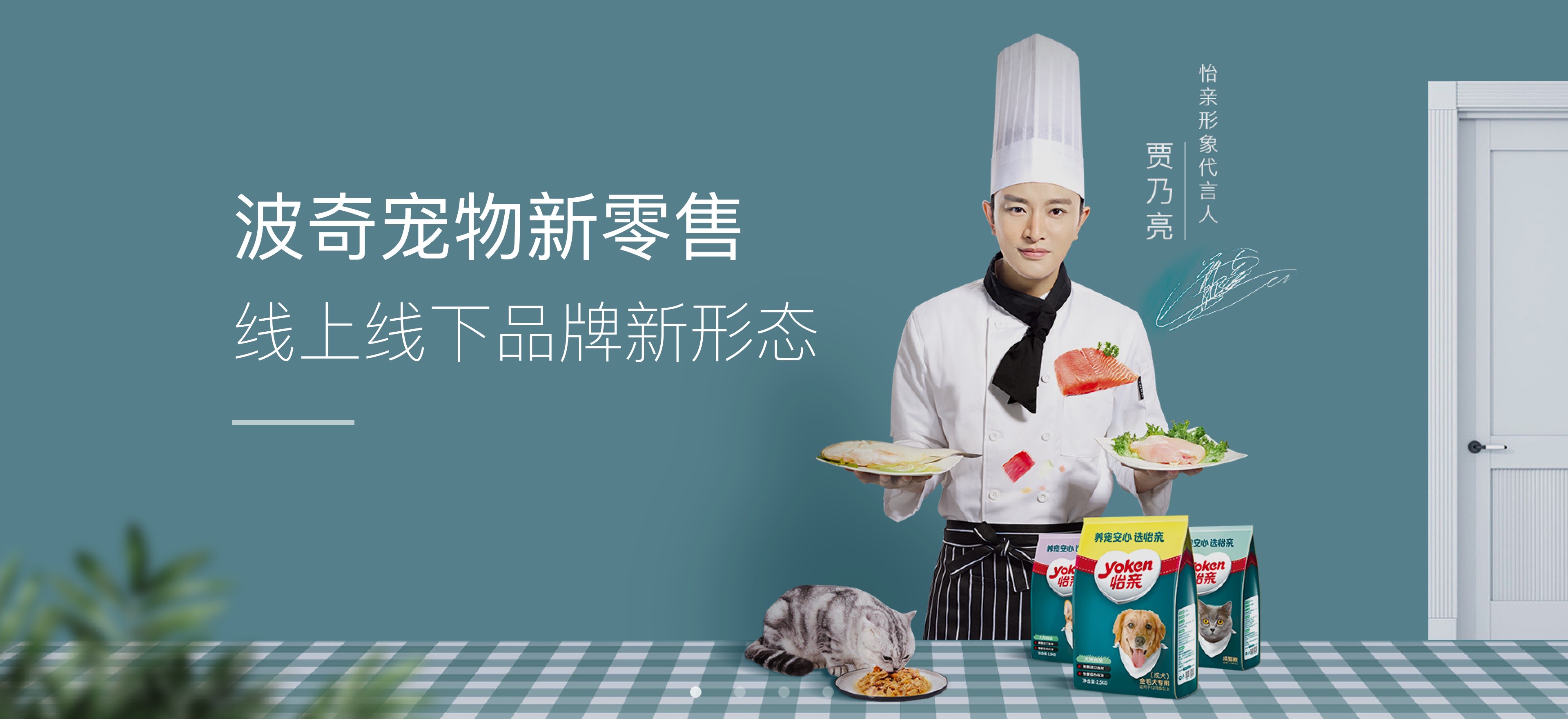 波奇宠物新零售